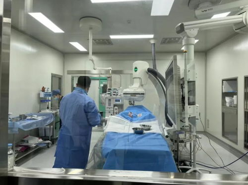 蟄伏二十載，產(chǎn)品全線出擊 獸醫(yī)醫(yī)療器械龍頭借A輪融資刷新紀(jì)錄，加速國產(chǎn)替代浪潮