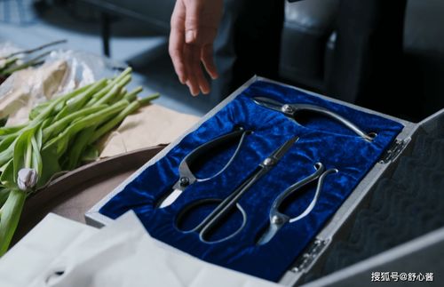 獸醫(yī)職場(chǎng)新篇章 孫儷新劇聚焦內(nèi)娛職場(chǎng)劇之光與獸醫(yī)器具