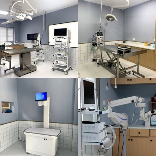 重量級寵物醫院今日盛大開業，湖南仁才動物醫院再啟航