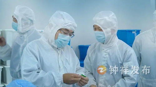 周軍帶隊(duì)赴南昌、上海開(kāi)展精準(zhǔn)招商考察 聚焦產(chǎn)業(yè)升級(jí)與項(xiàng)目合作