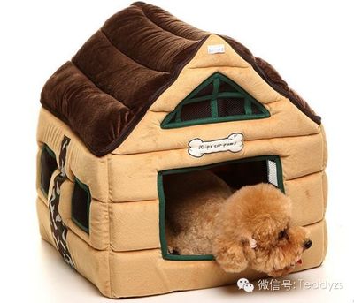 狗狗便便偏稀怎么辦？居家觀察與獸醫(yī)輔助指南